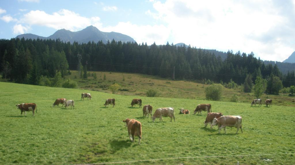Haus Hubertus Apartment Hochfilzen Luaran gambar