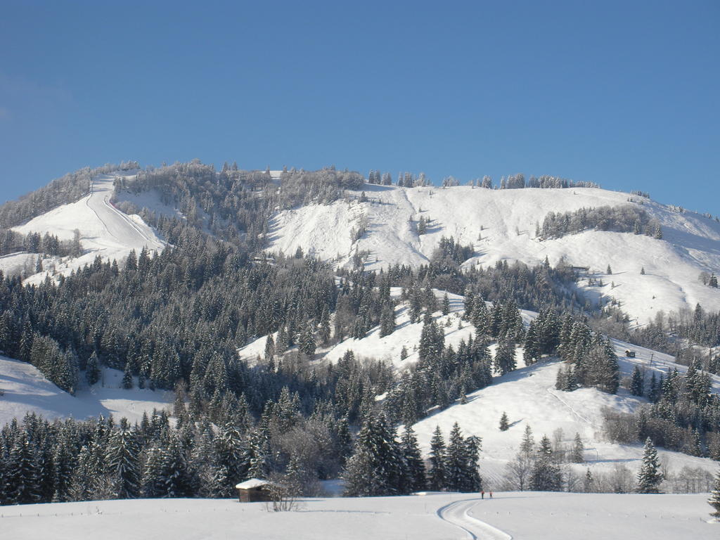 Haus Hubertus Apartment Hochfilzen Luaran gambar