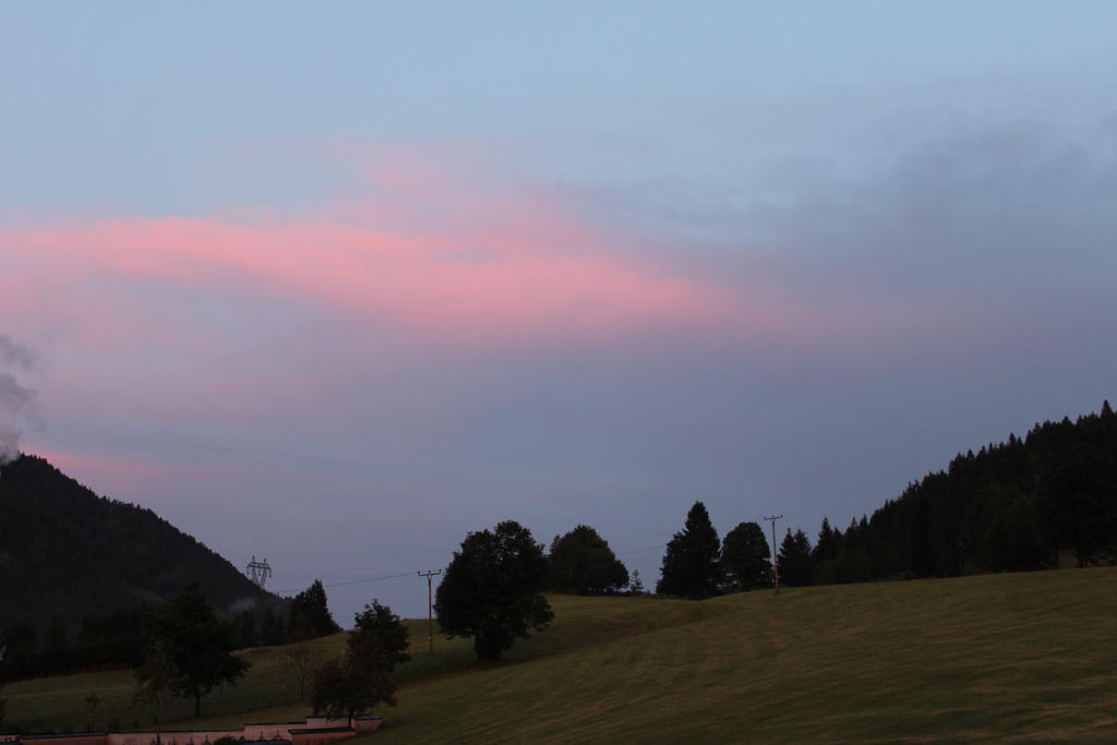 Haus Hubertus Apartment Hochfilzen Luaran gambar